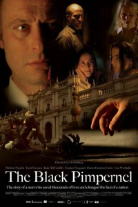 Черная гвоздика (2007)