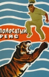 Полосатый рейс