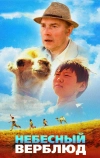 Небесный верблюд