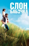 Слон и бабочка