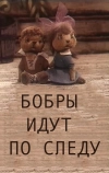Бобры идут по следу