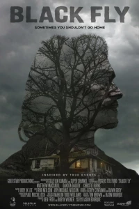 Черные птицы (2014)